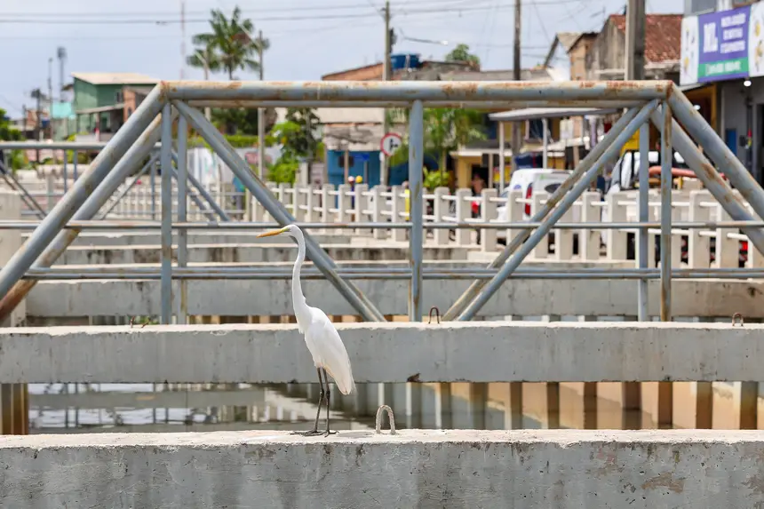  <div class='credito_fotos'>Foto: Bruno Cruz / Ag. Pará   |   <a href='/midias/2025/originais/20251105114601-GF00025384-F00463175.jpg' download><i class='fa-solid fa-download'></i> Download</a></div>