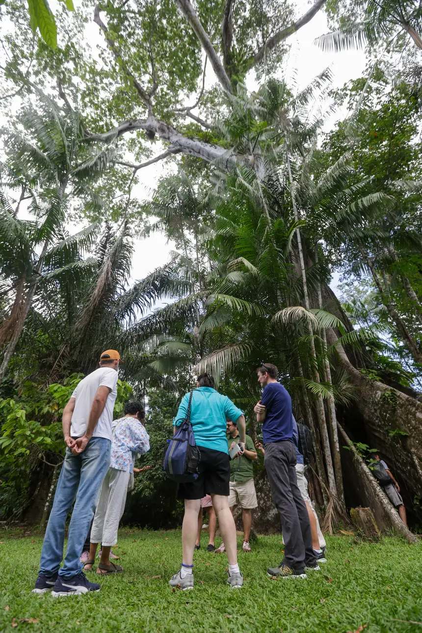  <div class='credito_fotos'>Foto: Pedro Guerreiro / Ag. Pará &nbsp;&nbsp;|&nbsp;&nbsp; <a href='/midias/2025/originais/20251108161342-GF00025418-F00464480.jpg' download><i class='fa-solid fa-download'></i> Download</a></div>