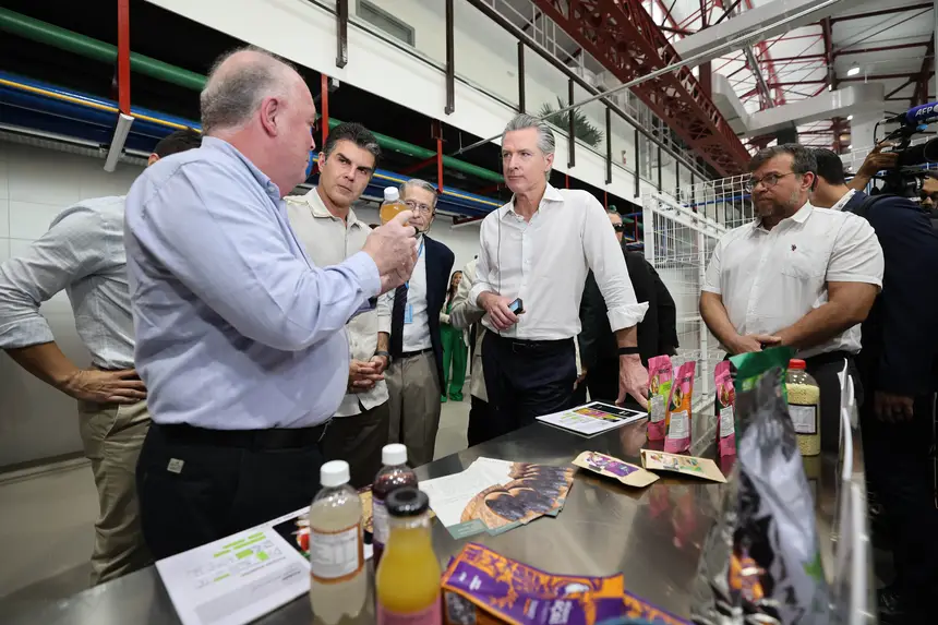  <div class='credito_fotos'>Foto: Marco Santos / Ag. Pará   |   <a href='/midias/2025/originais/20251111124307-GF00025447-F00465500.jpg' download><i class='fa-solid fa-download'></i> Download</a></div>