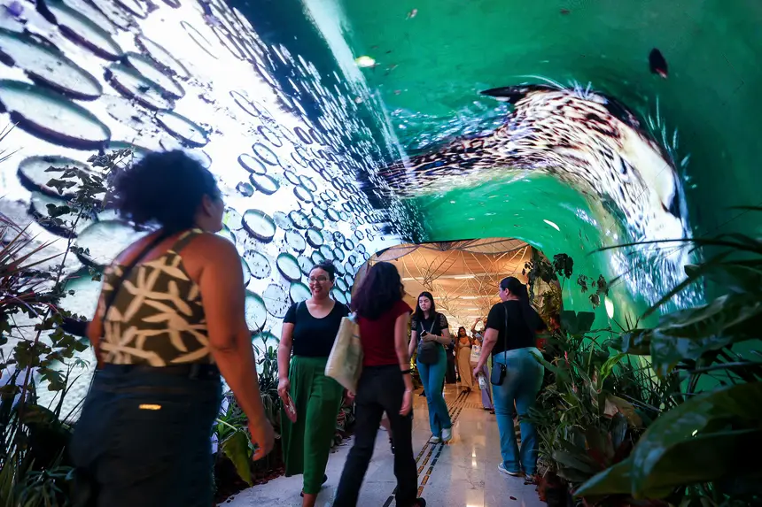  <div class='credito_fotos'>Foto: Bruno Cecim / Ag.Pará   |   <a href='/midias/2025/originais/20251118201915-GF00025613-F00470188.jpg' download><i class='fa-solid fa-download'></i> Download</a></div>