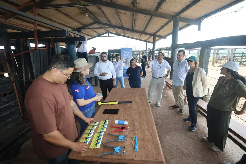 Comitiva da Organização Mundial de Saúde Animal 
