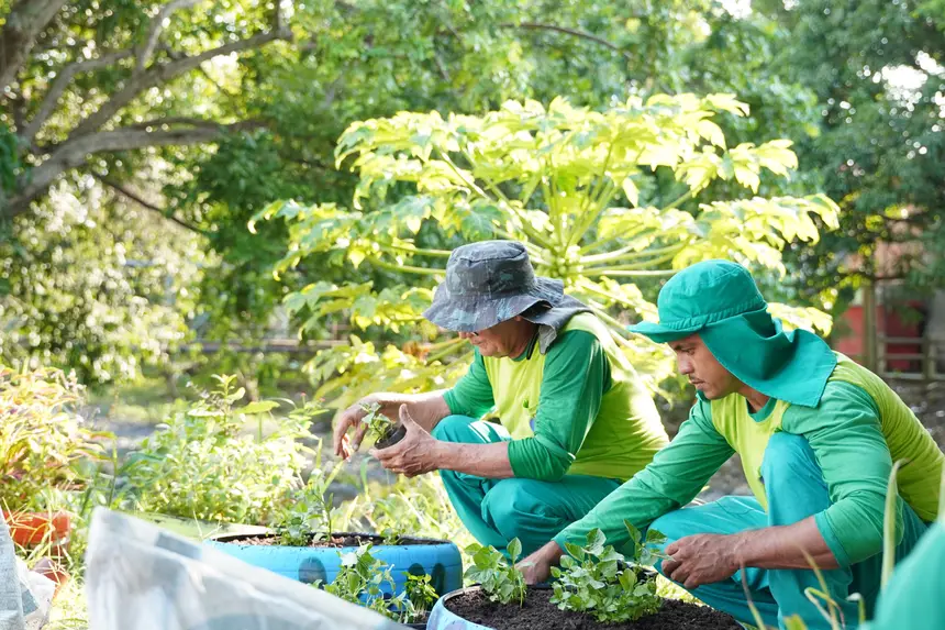 Plantação de hortaliças fortalece práticas sustentáveis na comunidade e incentiva o cuidado coletivo 