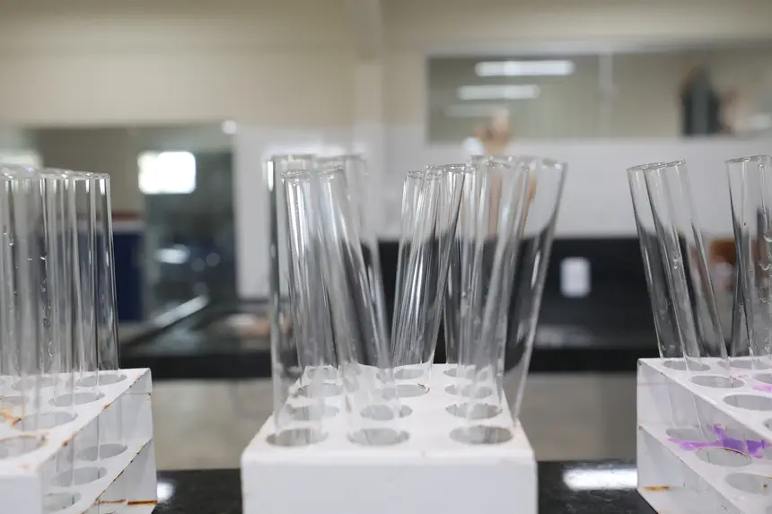  <div class='credito_fotos'>Foto: Bruno Cruz / Ag. Pará   |   <a href='/midias/2025/originais/20251201130702-GF00025741-F00473616.jpg' download><i class='fa-solid fa-download'></i> Download</a></div>