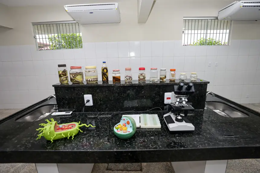  <div class='credito_fotos'>Foto: Bruno Cruz / Ag. Pará   |   <a href='/midias/2025/originais/20251202160624-GF00025748-F00473807.jpg' download><i class='fa-solid fa-download'></i> Download</a></div>