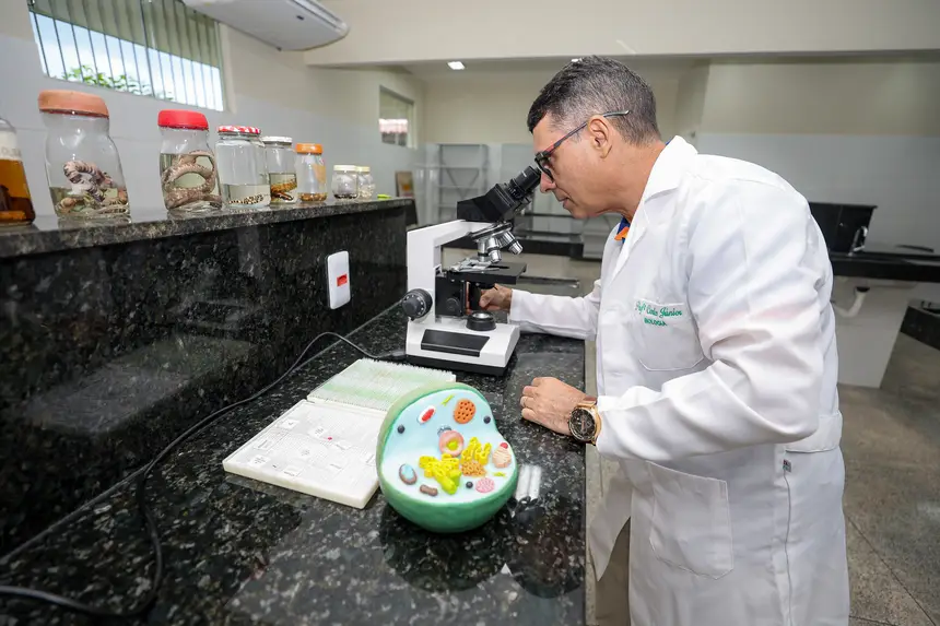  <div class='credito_fotos'>Foto: Bruno Cruz / Ag. Pará   |   <a href='/midias/2025/originais/20251202160638-GF00025748-F00473812.jpg' download><i class='fa-solid fa-download'></i> Download</a></div>