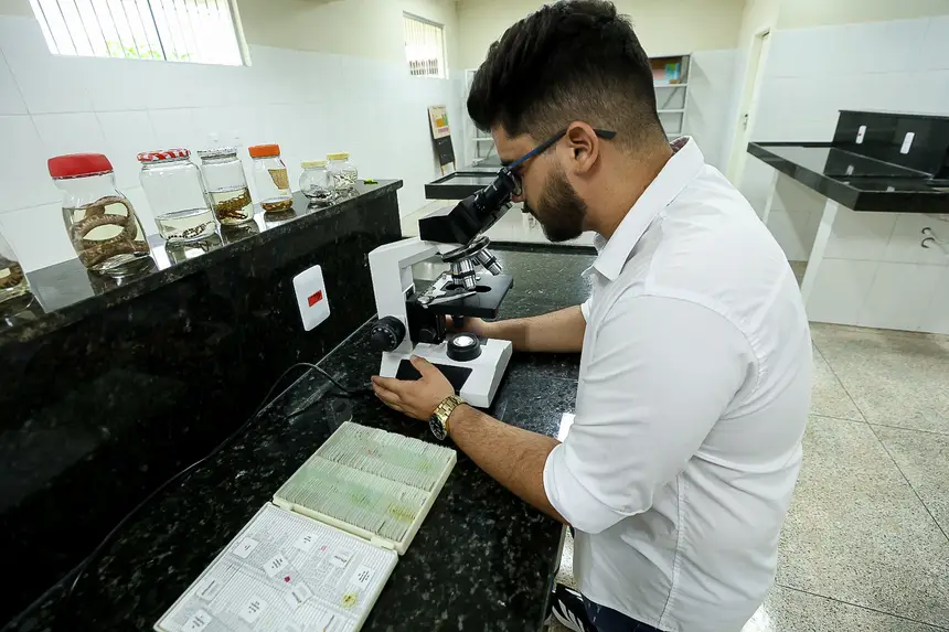  <div class='credito_fotos'>Foto: Alex Ribeiro / Ag. Pará   |   <a href='/midias/2025/originais/20251202180643-GF00025751-F00473916.jpg' download><i class='fa-solid fa-download'></i> Download</a></div>