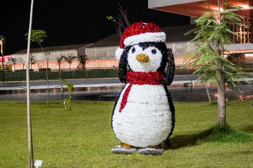  <div class='credito_fotos'>Foto: Vinicius Pinto / Ag. Pará &nbsp;&nbsp;|&nbsp;&nbsp; <a href='/midias/2025/originais/20251204221135-GF00025783-F00474922.jpg' download><i class='fa-solid fa-download'></i> Download</a></div>