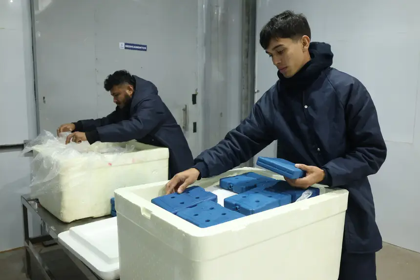 Foto: Bruno Cecim / Ag.Pará