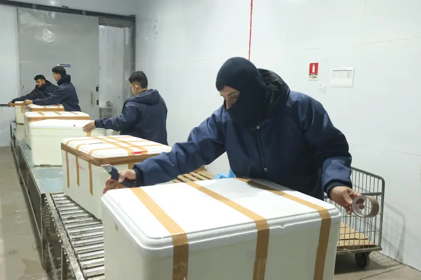 Foto: Bruno Cecim / Ag.Pará