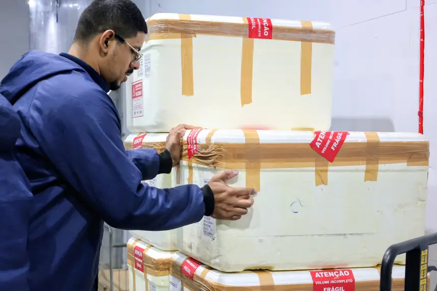 Foto: Bruno Cecim / Ag.Pará