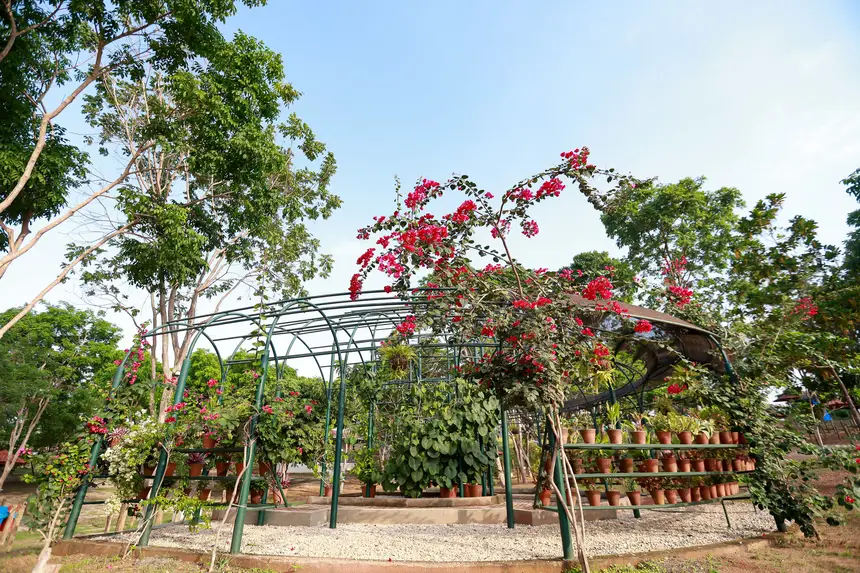  <div class='credito_fotos'>Foto: Marcelo Lelis / Ag. Pará &nbsp;&nbsp;|&nbsp;&nbsp; <a href='/midias/2025/originais/20251216092546-GF00025879-F00478524.jpg' download><i class='fa-solid fa-download'></i> Download</a></div>