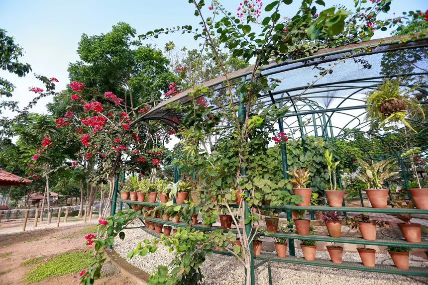  <div class='credito_fotos'>Foto: Marcelo Lelis / Ag. Pará &nbsp;&nbsp;|&nbsp;&nbsp; <a href='/midias/2025/originais/20251216092555-GF00025879-F00478529.jpg' download><i class='fa-solid fa-download'></i> Download</a></div>