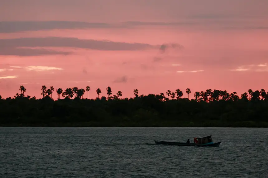  <div class='credito_fotos'>Foto: Marcelo Lelis / Ag. Pará &nbsp;&nbsp;|&nbsp;&nbsp; <a href='/midias/2025/originais/20251223111549-GF00025944-F00480373.jpg' download><i class='fa-solid fa-download'></i> Download</a></div>