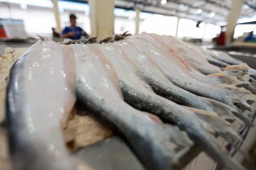  <div class='credito_fotos'>Foto: Marcelo Lelis / Ag. Pará &nbsp;&nbsp;|&nbsp;&nbsp; <a href='/midias/2025/originais/20251223111612-GF00025944-F00480385.jpg' download><i class='fa-solid fa-download'></i> Download</a></div>