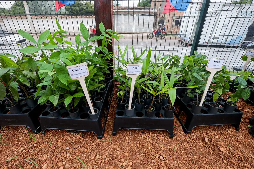  <div class='credito_fotos'>Foto: Alex Ribeiro / Ag. Pará &nbsp;&nbsp;|&nbsp;&nbsp; <a href='/midias/2025/originais/20251223120638-GF00025950-F00480446.jpg' download><i class='fa-solid fa-download'></i> Download</a></div>