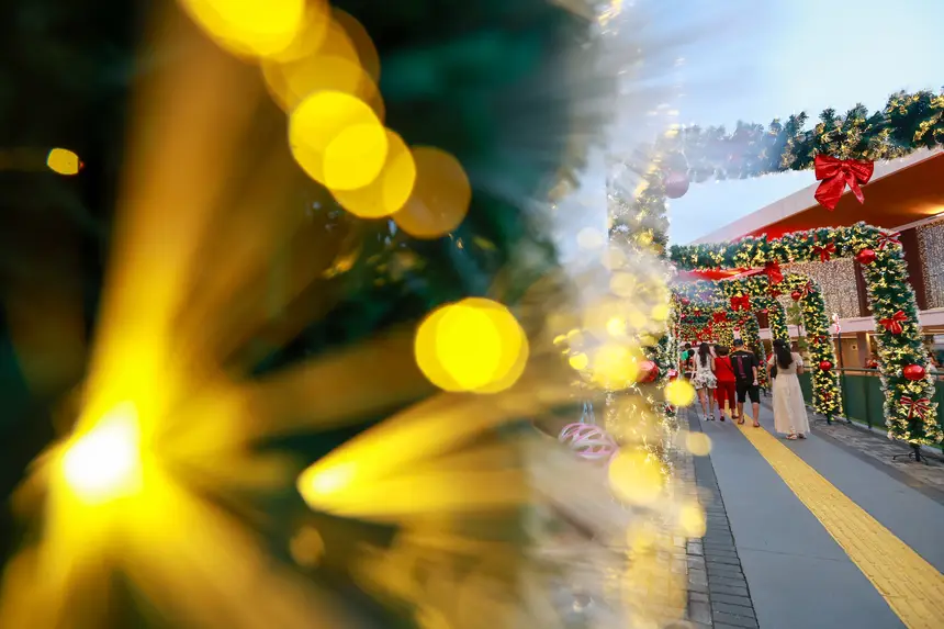  <div class='credito_fotos'>Foto: Marcelo Lelis / Ag. Pará &nbsp;&nbsp;|&nbsp;&nbsp; <a href='/midias/2025/originais/20251228185750-GF00025977-F00481183.jpg' download><i class='fa-solid fa-download'></i> Download</a></div>