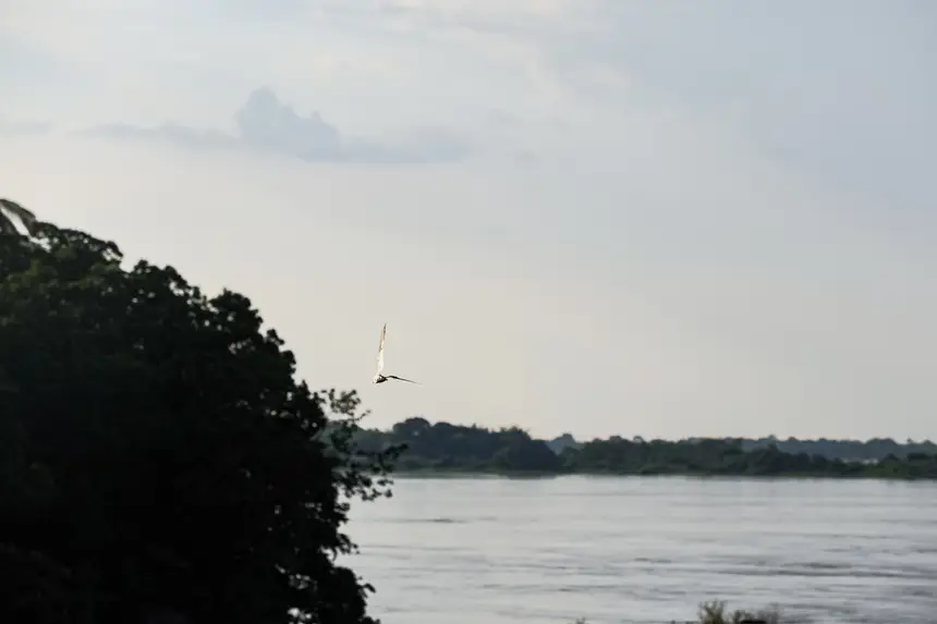  <div class='credito_fotos'>Foto: Bruno Cruz / Ag. Pará &nbsp;&nbsp;|&nbsp;&nbsp; <a href='/midias/2025/originais/20251229184725-GF00025985-F00481524.jpg' download><i class='fa-solid fa-download'></i> Download</a></div>