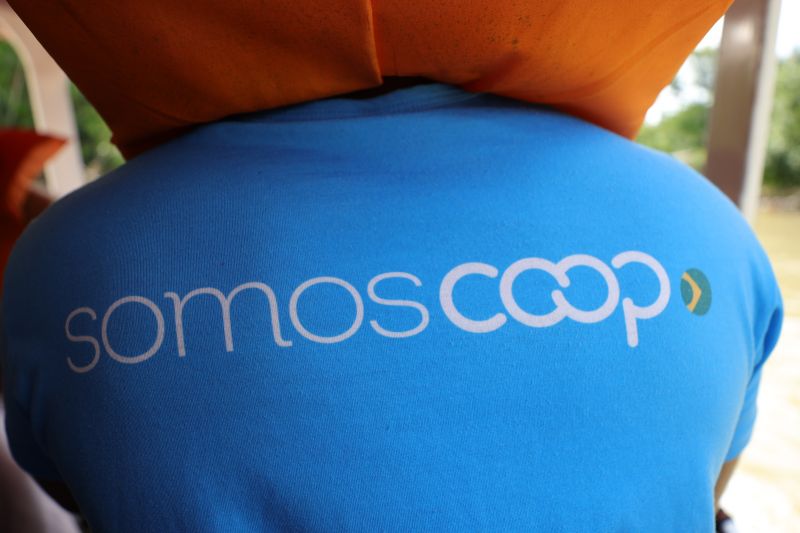  <div class='credito_fotos'>Foto: Marcelo Lelis / Ag. Pará &nbsp;&nbsp;|&nbsp;&nbsp; <a href='/midias/2025/originais/22622_1d6ea567-aec5-7442-8edf-acd412d0aca9.jpg' download><i class='fa-solid fa-download'></i> Download</a></div>