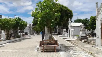 notícia: Estado e Prefeitura de Belém começam nova etapa na limpeza de cemitérios