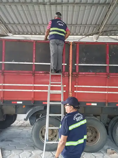 notícia: Secretaria da Fazenda apreende 1.040 mochilas em Cachoeira do Piriá 