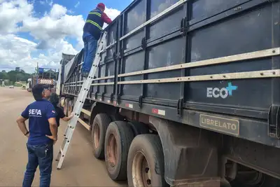 notícia: Secretaria da Fazenda (Sefa) apreende 20 toneladas de soja em Dom Eliseu