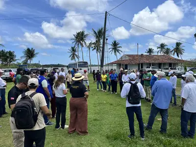 notícia: Adepará e parceiros conhecem experiência de cultivos alimentares no Marajó