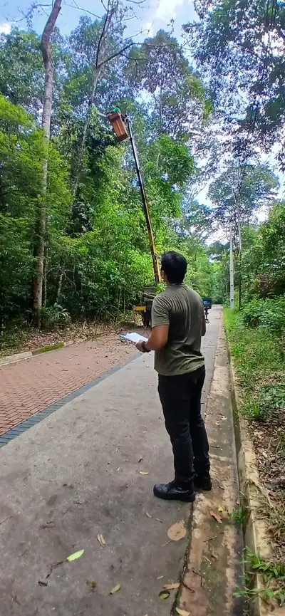 notícia: Parque Estadual do Utinga recebe mutirão de podas de árvores para garantir segurança aos visitantes