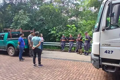 notícia: Parque Estadual do Utinga recebe mutirão de podas de árvores para garantir segurança aos visitantes