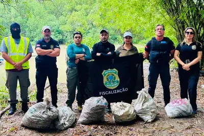 notícia: Polícia Civil e ICMBio realizam apreensão de 140 kg de caranguejo-uçá durante Operação Andada 3 no Pará