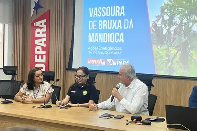 notícia: ADEPARÁ e SEAF apresentam ações emergenciais de combate à vassoura-de-bruxa da mandioca para agricultura familiar