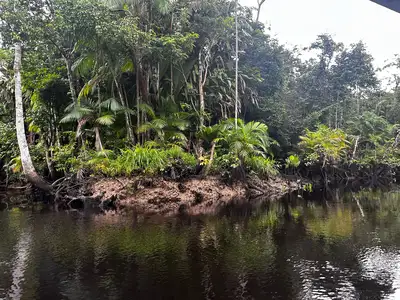 notícia: Lideranças ambientais visitam Parque Estadual Charapucu, no Marajó, para avaliar investimentos em ecoturismo