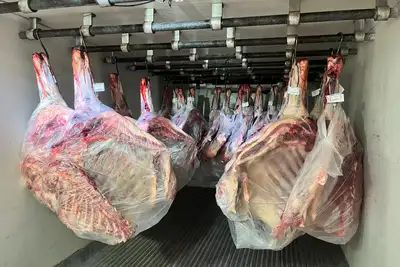 notícia: Adepará  doa 1 tonelada e meia de carne para fazenda esperança na Ilha de Mosqueiro