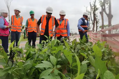 notícia: Pará recebe 476 mudas doadas para o Parque da Cidade