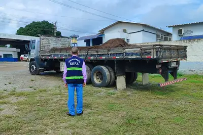 notícia: Sefa apreende 30 mil unidades de luvas para alta tensão em São Geraldo do Araguaia