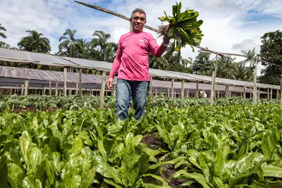 notícia: Agricultores familiares do Pará se preparam para fornecer insumos para a COP 30