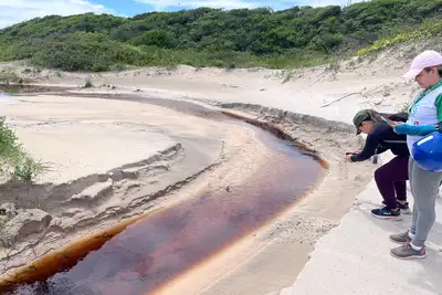 notícia: Ideflor-Bio vai elaborar Plano de Gestão para Monumento Natural Atalaia