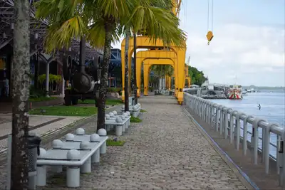 notícia: 'Estação Verde' fará plantios na Estação das Docas no Dia Internacional das Florestas