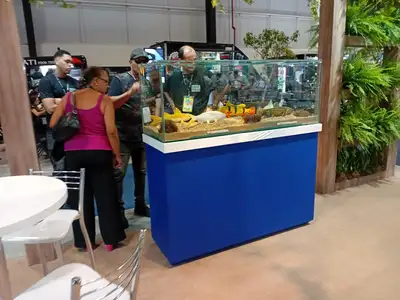 notícia: Pará fortalece turismo na maior feira de pesca esportiva, turismo e náutica da América Latina