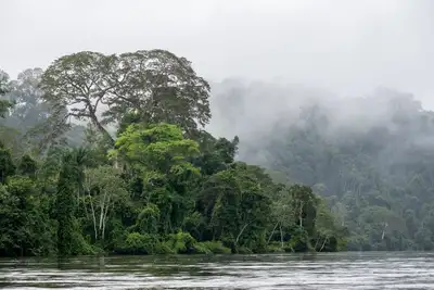 notícia: Pará reforça conservação no Dia Internacional das Florestas com novo parque ambiental