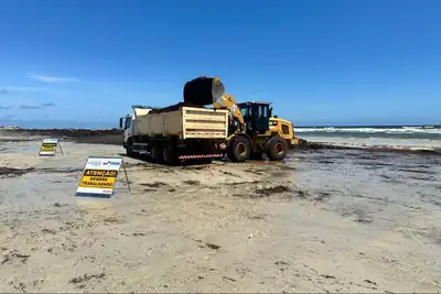 notícia: Governo do Pará realiza ação para remoção de algas na Praia do Atalaia