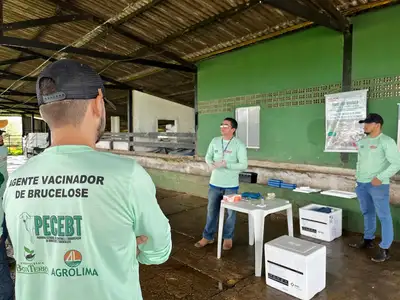 notícia: Adepará realiza atualização cadastral de veterinários no Programa Estadual de Controle a Brucelose 