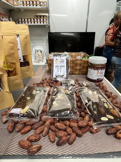 notícia: Festival Chocolat Amazônia: em maio deste ano, Belém se tranforma na capital nacional do chocolate e do cacau