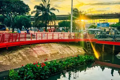 galeria: Obras Nova Doca - Rua Belém Asfalto - Plantas