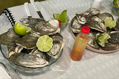 notícia: Governo garante Feira do Pescado com ampla oferta e preços acessíveis para consumidor