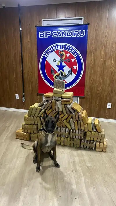 Crédito: Divulgação