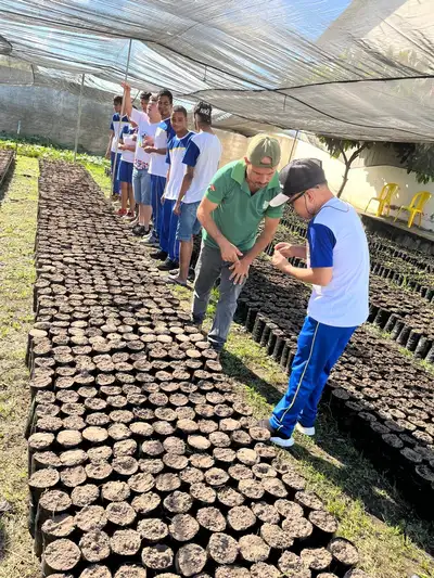 Crédito: Divulgação
