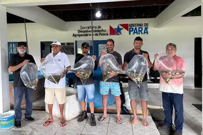 notícia: Governo do Pará fortalece aquicultura no Oeste do Estado com entrega de 400 mil alevinos e movimenta mais de R$ 15 milhões na economia