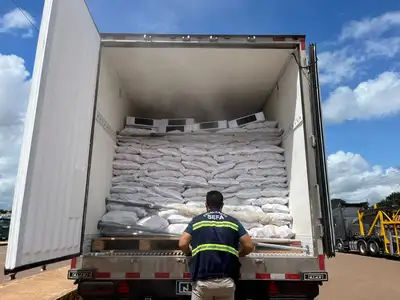 notícia: Sefa apreende mais de 30 toneladas de pescado em Dom Eliseu 