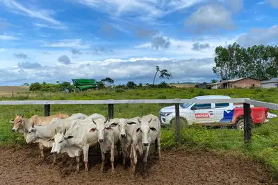 notícia: Adepará realiza campanha de atualização de cadastro de animais