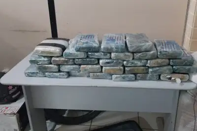 notícia:  Polícias Civil e Militar realizam operação conjunta contra o tráfico de drogas em Altamira